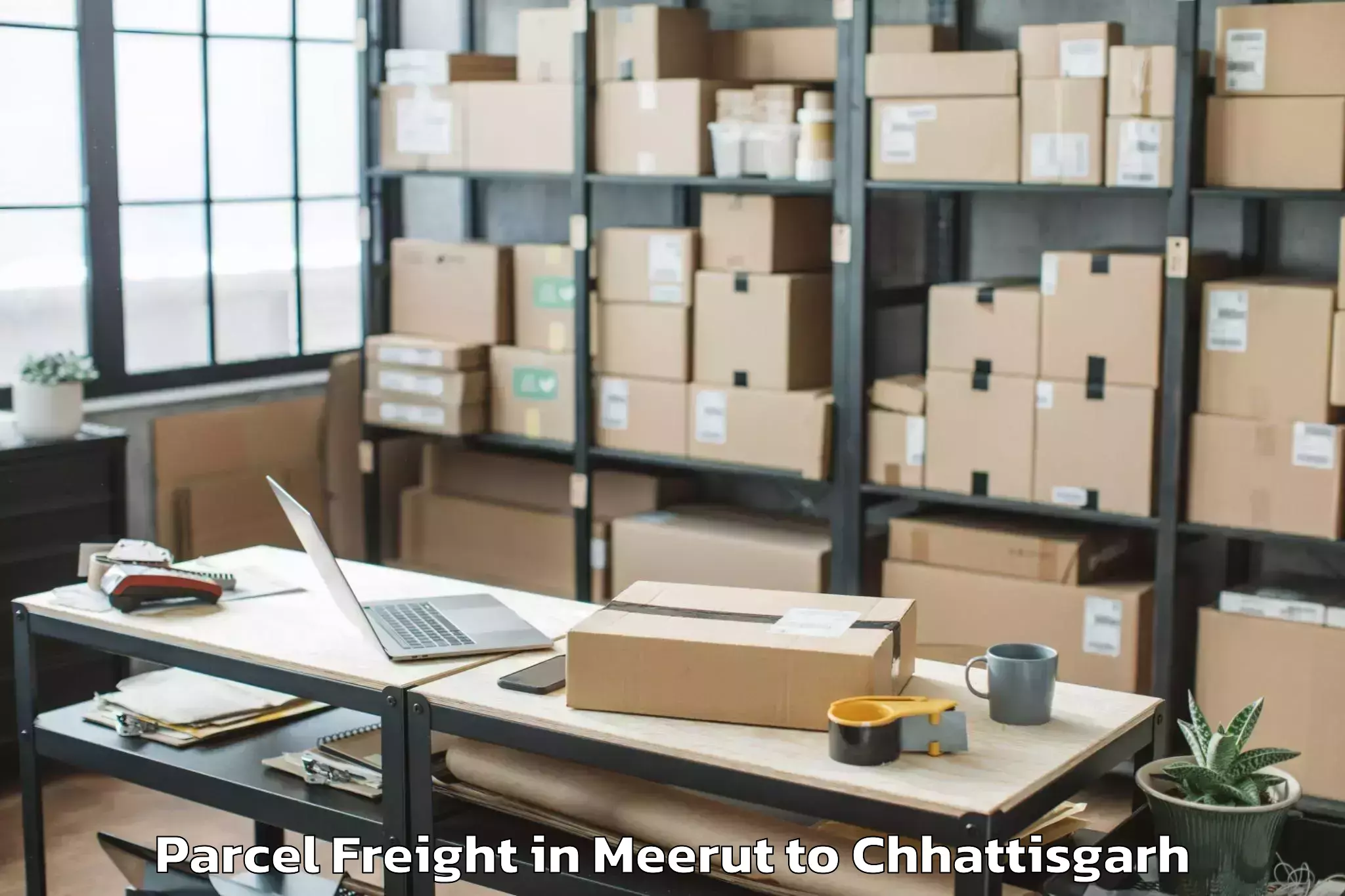 Reliable Meerut to Malkharoda Parcel Freight